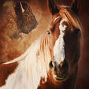 Buffalo Pony Poster