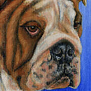 Beautiful Bulldog Oil Painting Poster by Michelle Wrighton