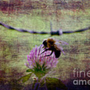 Bumble Bee Poster