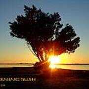 Burning Bush Poster