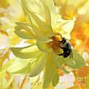 Busy Bumble Bee Poster