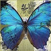 Butterfly Art - S01bfr02 Poster