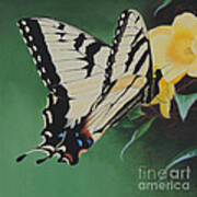 Butterfly At Work Poster