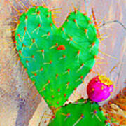 Cactus Heart Poster