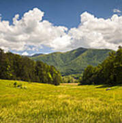 Cades Cove Great Smoky Mountains National Park - Gold And Blue Poster