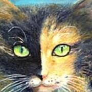 Calico Cat Poster