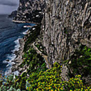 Capri Krupp Path Rocks Coast Poster