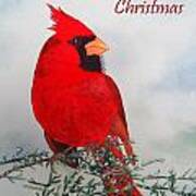 Cardinal Merry Christmas Poster