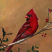 Cardinal Seeking Companion Poster