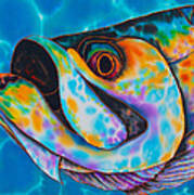 Caribbean Tarpon Fish Poster