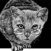 Cat In Glasses Poster