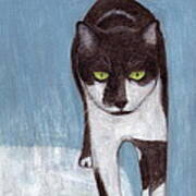 Cat In Winter Poster