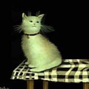 Cat On Checkered Tablecloth   No. 4 Poster
