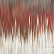 Cattails And Dogwood Poster