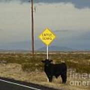 Cattle Guard Poster