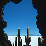 Cave And Cacti Incahuasi Island Poster