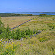 Cedar Fence Line Poster