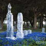 Cemetery Bluebonnets Poster