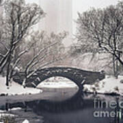Central Park In The Snow Poster