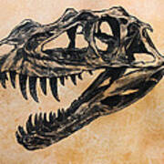 Ceratosaurus Skull Poster