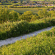 Chalk Path To Steyning Poster