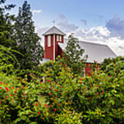 Chapel At The Antique Rose Emporium Poster