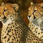 Cheetah Brothers Poster
