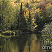 Chequamegon National Forest River Poster