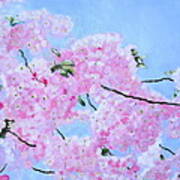 Cherry Blossoms Poster