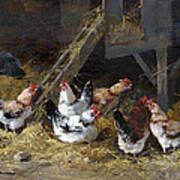Chicken Coop Circa 1880 Poster