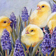 Chicks Among The Hyacinth Poster