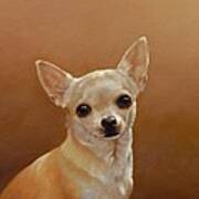 Chihuahua I Poster
