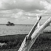 Chincoteague Oystershack Bw Vertical Poster