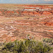 Chinde Point Painted Desert Petrified Forest National Park Poster