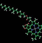 Chlorophyll A Molecule Poster