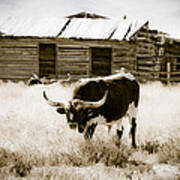 Chocolate Pepper - Jeffrey City - Wyoming Poster