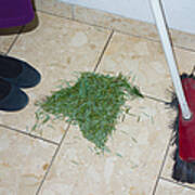 Christmas Is Over Time To Sweep Together The Fir Needles Poster