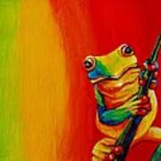 Chroma Frog Poster