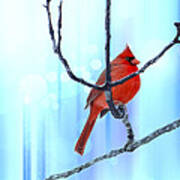 Chubby Winter Redbird Poster