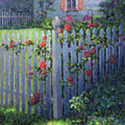 Clematis On A Picket Fence Poster