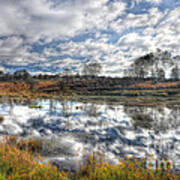 Cloud Reflections In Beaver Pond Canaan Valley Poster