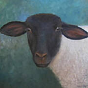Clyde - A Suffolk Lamb Painting Poster