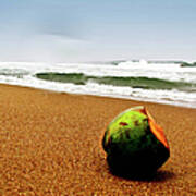 Coconut On Sandy Beach With Waves And Poster