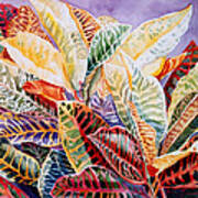 Color Patterns - Crotons Poster