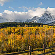 Colorado Gold - Dallas Divide Poster