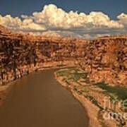 Colorado River Canyon Poster