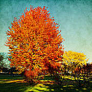 Colorful Autumn Poster