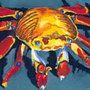 Colorful Crab Poster