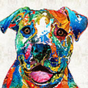 Colorful Dog Pit Bull Art - Happy - By Sharon Cummings Poster