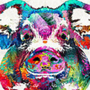 Colorful Pig Art - Squeal Appeal - By Sharon Cummings Poster